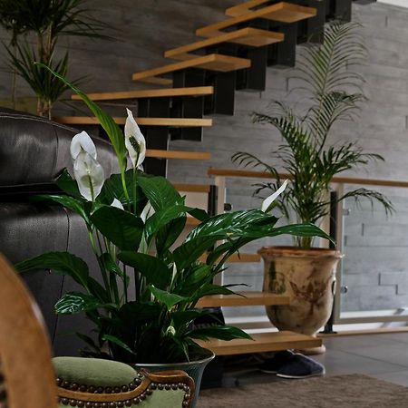 Superbe Appartement Au Coeur Du Jura Champagnole Eksteriør bilde